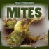 Mites (Freaky Freeloaders: Bugs That Feed on People, 4)