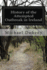 History of the Attempted Outbreak in Ireland