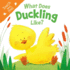 What Does Duckling Like: Touch & Feel Board Book (Touch and Feel)