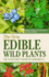 The New Edible Wild Plants of Eastern North America: a Field Guide to Edible (and Poisonous) Flowering Plants, Ferns, Mushrooms and Lichens