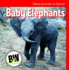 Baby Elephants (Baby Animals in Action! )