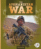 The Afghanistan War