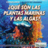 Qu Son Las Plantas Marinas Y Las Algas? / What Are Sea Plants and Algae? (Conozcamos Las Especies Marinas/ Let's Find Out! Marine Life) (Spanish Edition)