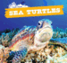 Sea Turtles: Vol 6