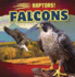 Falcons (Raptors! )