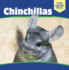 Chinchillas (Our Weird Pets)