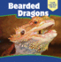 Bearded Dragons