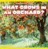 What Grows in an Orchard? (Plants in My World)