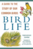 Bird Life: a Guide to the Study of Our Common Birds