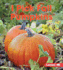 I Pick Fall Pumpkins (First Step Nonfiction-Observing Fall)