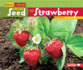 From Seed to Strawberry Format: Paperback