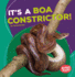 It's a Boa Constrictor! (Bumba Books ? Rain Forest Animals)