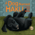 A Dog Named Haku: a Holiday Story From Nepal