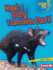 Meet a Baby Tasmanian Devil (Lightning Bolt Books ? Baby Australian Animals)