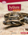 Pythons on the Hunt Format: Library