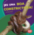 Es Una Boa Constrictora! (It's a Boa Constrictor! ) (Bumba Books  En Espaol? Animales De La Selva Tropical (Rain Forest Animals)) (Spanish Edition)