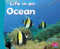 Life in an Ocean (Living in a Biome)