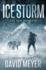 Ice Storm (Cy Reed Adventures)