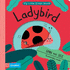 My Little Green World: Ladybird