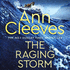 The Raging Storm: a Thrilling Mystery From the Bestselling Author of Itvs the Long Call, Featuring Detective Matthew Venn (Two Rivers)