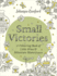 Small Victories: A Colouring Book of Little Wins and Miniature Masterpieces