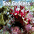 Sea Goddess