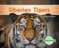 Siberian Tigers (Super Species)