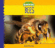 Bees (Animal Kingdom)