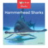 Hammerhead Sharks (Zoom in on Sharks)