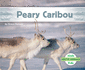 Peary Caribou (Arctic Animals)