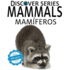 Mammals / Mamferos