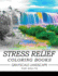 Stress Relief Coloring Books GRAYSCALE Landscape for Adults Volume 2