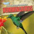 A Bird Watcher's Guide to Hummingbirds (Backyard Bird Watchers)