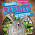 Showing Rabbits at the Fair (Blue Ribbon Animals)