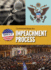 Understanding the Impeachment Process (What's Up With Your Government? )