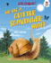 Go on a Critter Scavenger Hunt Format: Library Bound