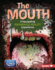 The Mouth (a Nauseating Augmented Reality Experience) (the Gross Human Body in Action: Augmented Reality)