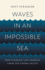 Waves in an Impossible Sea: How Everyday Life Emerges from the Cosmic Ocean