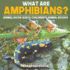 What are Amphibians? Animal Book Age 8 Children's Animal Books