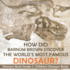 How Did Barnum Brown Discover the World's Most Famous Dinosaur Dinosaur Book Grade 2 Children's Dinosaur Books