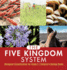 The Five Kingdom System Biological Classification for Grade 5 Children's Biology Books