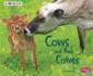 Cows and Their Calves: a 4d Book