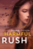 Harmful Rush: A Remedy Stand-Alone Novel