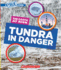 Tundra in Danger (a True Book: the Earth at Risk) (a True Book (Relaunch))