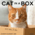 Cat in a Box 2025 12 X 12 Wall Calendar