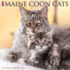 CAL 25 MAINE COON CATS 2025 WALL