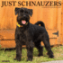 CAL 25 SCHNAUZERS 2025 WALL