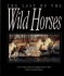 The Last of the Wild Horses