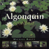 Algonquin Souvenir