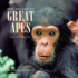 The Nature of Great Apes (Greystone Nature)